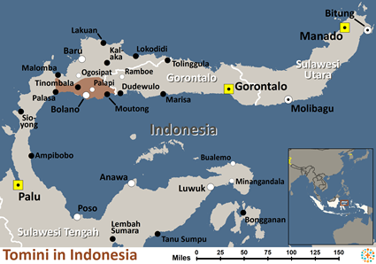 Map of Tomini in Indonesia