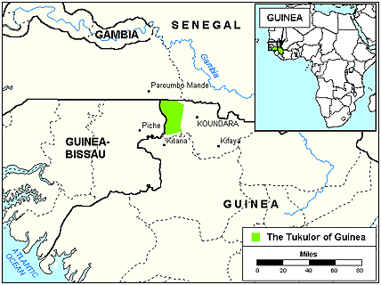 Fuuta Torro in Guinea