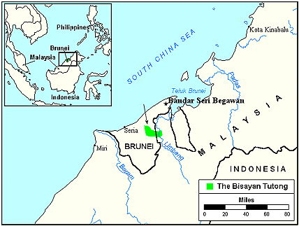 Tutong, Bisayan in Brunei