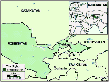 Uyghur in Uzbekistan