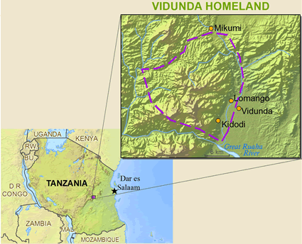 Map of Vidunda in Tanzania