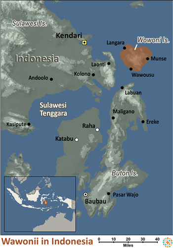 Map of Wawonii in Indonesia