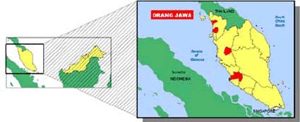 Javanese, Orang Jawa in Malaysia