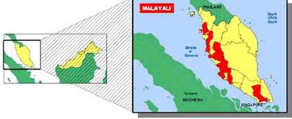 Malayali, Malayalam in Malaysia