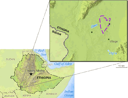 Kwegu in Ethiopia