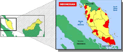 Indonesian in Malaysia