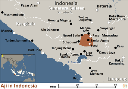 Map of Aji in Indonesia
