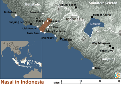 Map of Nasal in Indonesia
