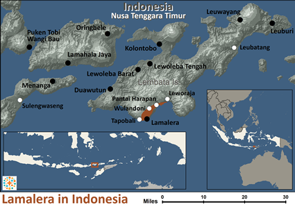 Map of Lamalera in Indonesia