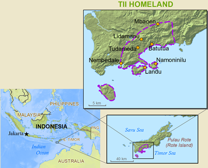 Map of Rotinese, Tii in Indonesia