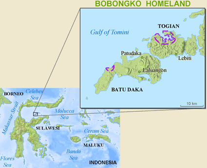 Map of Bobongko in Indonesia