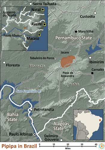Map of Pipipa in Brazil