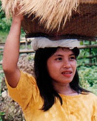 Itneg, Adasen Tinguian