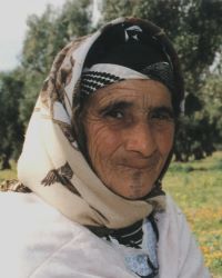Berber, Warain