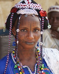 Fulani, Nigerian
