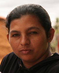 Romani, Brazilian