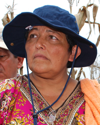 Chinanteco, Chiltepec