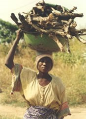 Fulbe-Gey