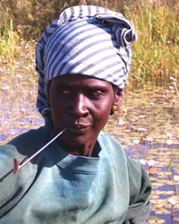 Moor, Haratine (Black)