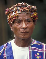 Manobo, Higaunon