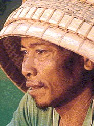 Hitu