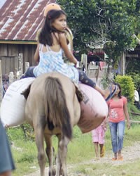 Subanen, Lapuyan