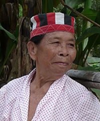 Land Dayak, Lara