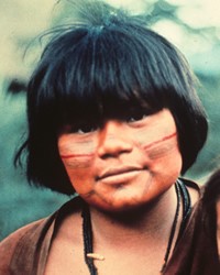 Matsigenka, Manaries