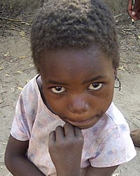 Ndau, Shona