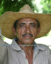 Nicaraguan, Mestizo