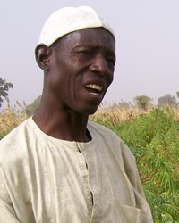 Kanuri, Manga