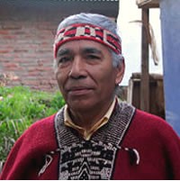Mapuche, Araucanian