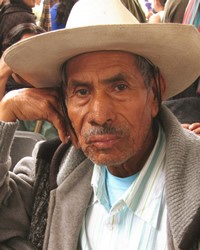 Tepehua, Pisa Flores