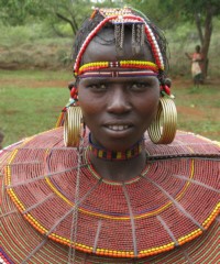 Kalenjin, Pokot