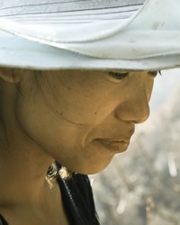 Pumi
