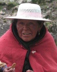 Quechua, South Bolivian