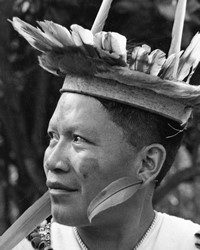 Secoya, Ecuadorian Siona