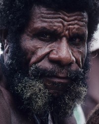 Sepik Iwam