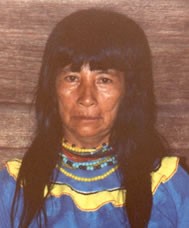 Shipibol