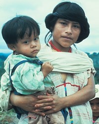 Chinanteco, Sochiapam