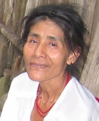 Chinanteco, Tepinapa