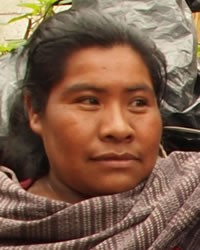Nahuatl, Tlamacazapa