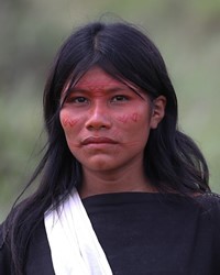 Asheninka, Ucayali-Yurua