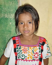 Chinanteco, Valle Nacional