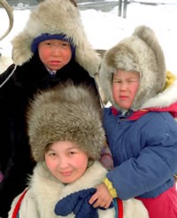 Enets, Yenisei Samoyed