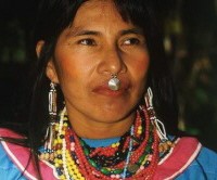 Yora, Manu Park Panoan