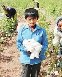 Balai (Hindu traditions)