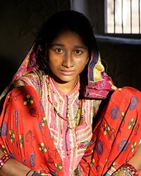 Kacchi