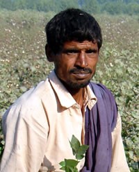 Mazhabi (Hindu traditions)