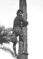 Pasi (Muslim traditions)
